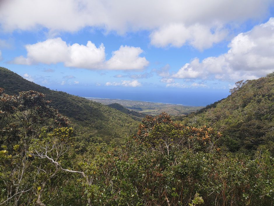 mauritius (10)