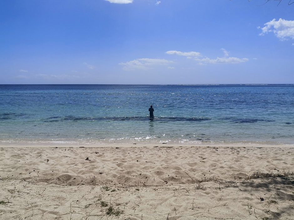 mauritius (5)